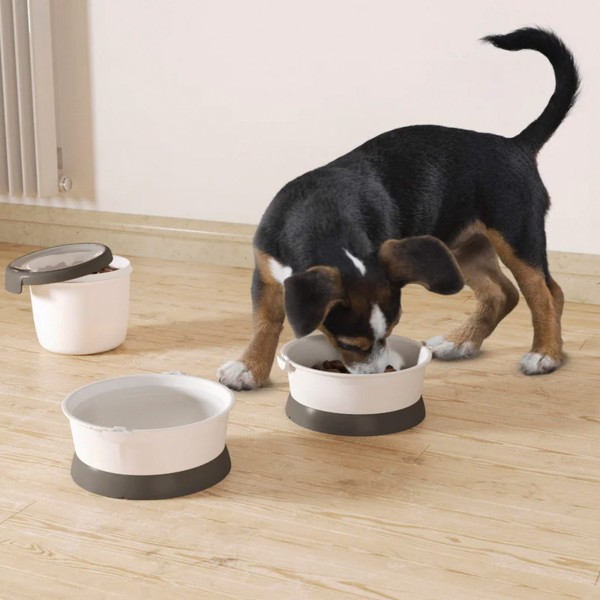 Curver Kit de viaje para perros con 3 recipientes | Distria