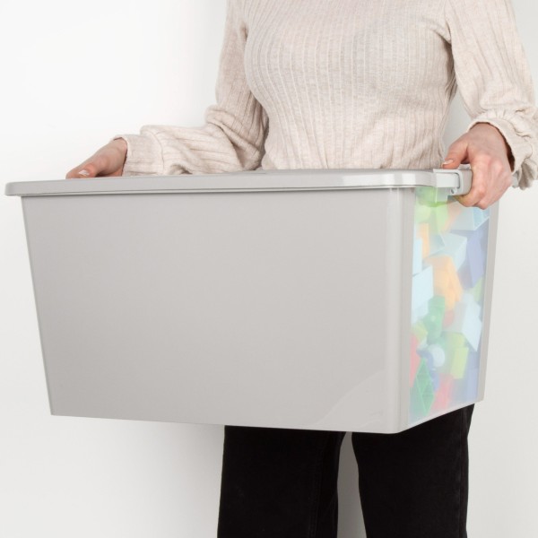 Caja de almacenaje Curver Bi-Box 40L gris | Distria