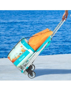 Aktive carro plegable aluminio extensible 75/100 cm | Distria 2