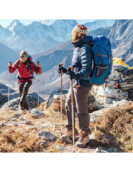 Bastón trekking- Senderismo |Distria