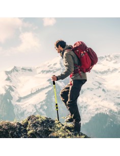 Bastón extensible trekking 62-135 cm Aktive | Distria 2