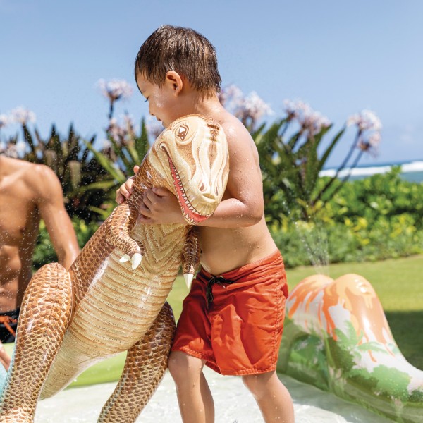 Centro de juego hinchable agua dinosaurios | Distria