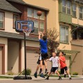 Canasta de baloncesto portátil LIFETIME | Distria